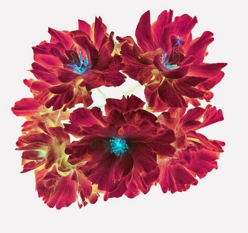 F 053B